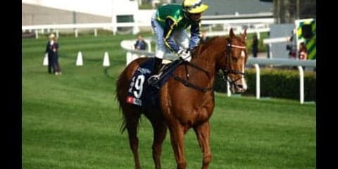 高松宮記念の「消しがちな外国馬ブリザード」が実は弱点を克服した説