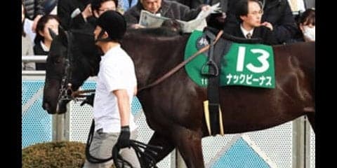 高松宮記念は３タイプの穴馬「前哨戦２着・前走惨敗・７歳」で幸せに