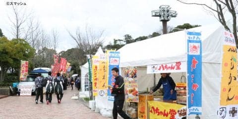 今年は食事に困らない！キッチンカー登場【第40回全国選抜高校テニス大会】