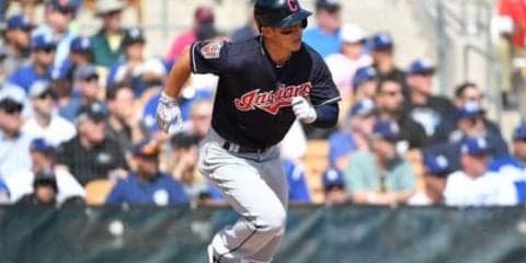 【MLB】オープン戦で奇跡の一打　“ホールインワン”に米騒然「7点の価値はある」