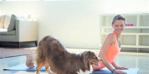 愛犬と一緒にヨガを楽しむ「DOG YOGA（ドッグヨガ）」！リラックス効果がぐんと高まるかも #dogyoga