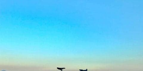 大学生14名が四国一周サイクリング！11日かけて1000kmを完走