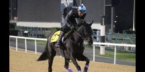 ドバイの４競走で「万馬券の油田」を掘り当てる日本調教馬はどれだ？