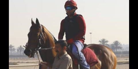 ドバイワールドＣは日本馬無視で、魔法の「万馬券じゅうたん」に乗れ