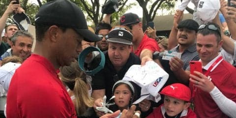 2018バルスパーチャンピオンシップ・タイガーのスタッツをまとめてみた 【#GNの中の人取材レポ】