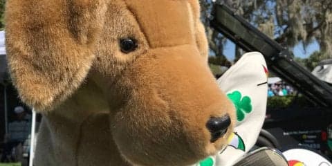 練習場は動物園？アーノルド・パーマー招待 【#GNの中の人取材レポ】