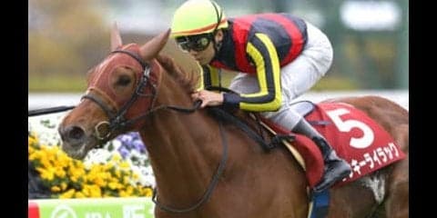 ラッキーライラック対アーモンドアイ。桜花賞バトルはどちらが勝つか