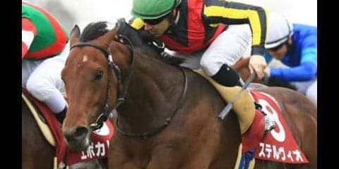 「天敵」が消えた！ 皐月賞Ｖ候補に浮上したステルヴィオに不安は？