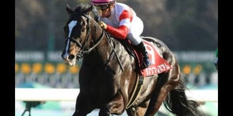 ダノン皐月賞回避で異状あり！激変する最新「３歳牡馬ランキング」