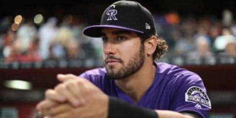 【MLB】華麗にジャンプ！…もボールと一緒にグローブ柵越え　“まさか”に投手呆然