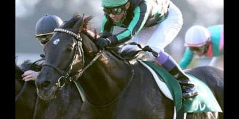 皐月賞は「上がらぬ人気に怒った３頭」が秘めたる力を爆発させる！