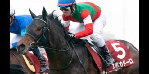 皐月賞の人気馬が差し届かない！そのとき前に残るのは「あの馬」だ