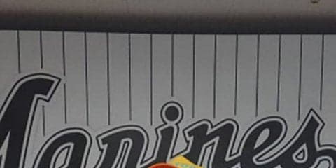 ロッテ売り子ペナントレース中間発表　1位は唯一1000杯超えのまりなさん