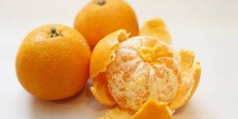 みかんに隠されたヒミツとは？