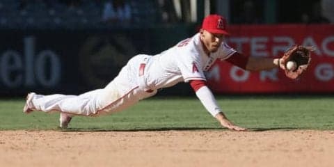 【MLB】GG賞名手が芸術的グラブトス披露　「他の誰にもできない」美技に大歓声