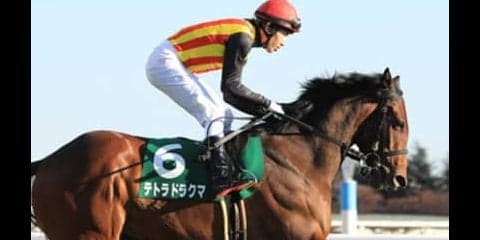 NHKマイルＣは今年も牝馬。中11週のテトラドラクマが不気味だわ