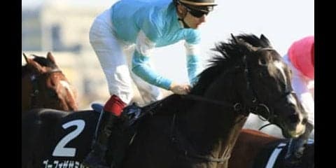 蛯名騎手は「手が合う」ゴーフォザサミットで、ついに頂上に行けるか