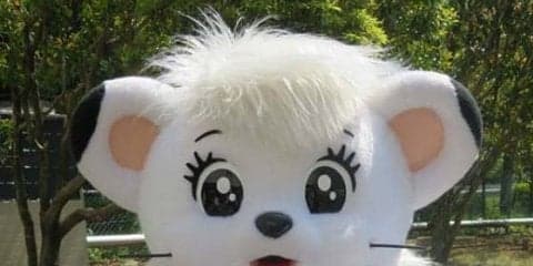 西武が女性向けイベント「ウーマンフェスタ」を開催　11日からのロッテ3連戦で