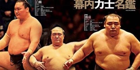白鵬、鶴竜、稀勢の里を特集した「大相撲ぴあ 平成三十年度版」発売