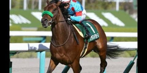 ブラストワンピースのダービー戦略。「異例のローテ」にはワケがある