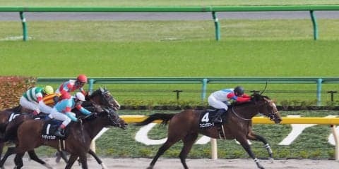 【東京10R/ブリリアントＳ】フェニックスマーク4連勝でオープン突破！