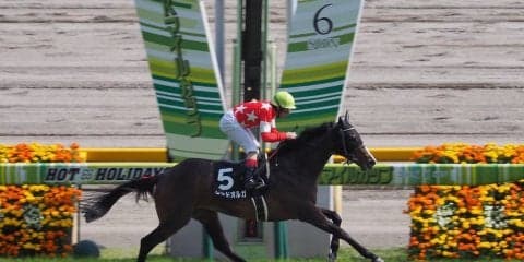 【東京9R/湘南Ｓ】レッドオルガ圧勝！連勝でオープン入り