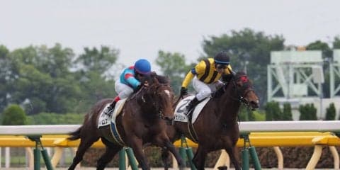 【東京6R/3歳500万下】距離短縮成功！圧倒的人気ディロスが着差以上の完勝