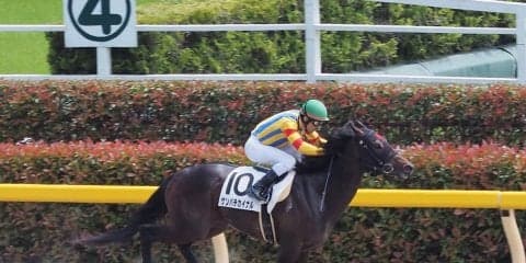 【東京5R/3歳500万下】ゲンパチカイナルが圧勝！直線楽々突き放す