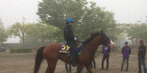 【NHKマイル】タワーオブロンドン 藤沢和師「前半穏やかに」