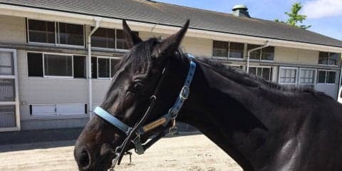 【3歳未勝利】松山「スムーズに抜け出す形になっていれば…」フォルシュナイト前が壁になるも3着