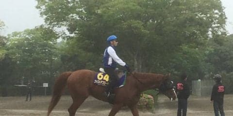 【NHKマイル】ファストアプローチ 藤沢和師「血統的にはぴったり」