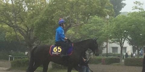 【NHKマイル】プリモシーン 戸崎「条件合ってる」