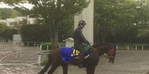 【NHKマイル】ルーカス 血筋の良さでどこまで