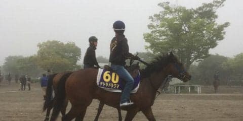 【NHKマイル】テトラドラクマ 東京巧者でチャンス十分