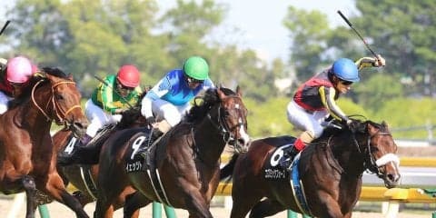 【東京11R/プリンシパルＳ】コズミックフォースが凌ぎきる！ダービー最終便を制する