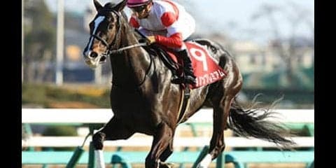 ◎か、スパッと切るか。ダノンプレミアムこそ、ダービー最大の悩みだ