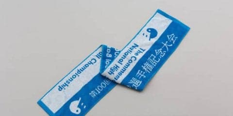 夏の高校野球大会オフィシャルグッズ、新たな商品が追加…タオル、Ｔシャツなど