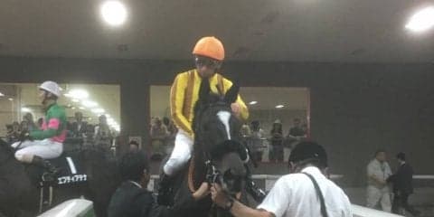 土曜東京９Ｒ・カーネーションＣは１番人気のゴージャスランチがクビ差勝ち 鹿戸師「力通り」