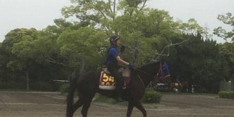 【オークス】オハナ  素質馬オハナ、立て直し策で注目