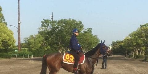 【オークス】マウレア 手塚師「やるからには一泡吹かせたい」