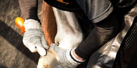 西内荘/装蹄の感触が良かった馬【5/26土曜版】