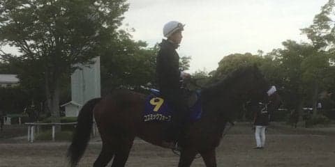 【日本ダービー】コズミックフォース 国枝師「G1のメンバーでどれだけやれるか」