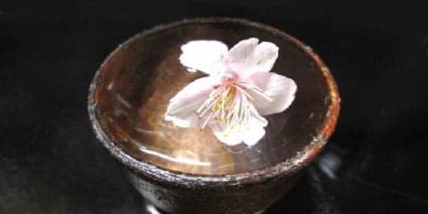 海外でも人気の日本酒を賢く摂取する方法
