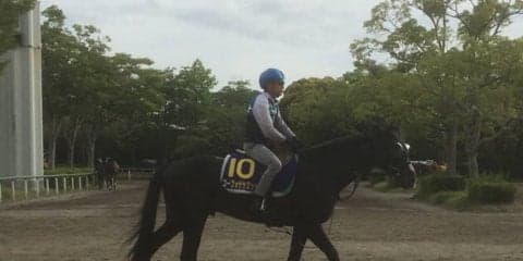 【日本ダービー】ゴーフォザサミット 蛯名「馬の雰囲気が良かった」