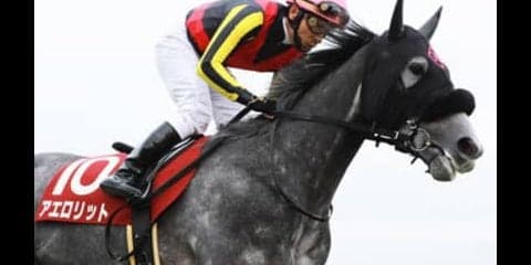 安田記念のウハウハ予想。「穴２頭＋大穴２頭」で、もう税金が心配だ