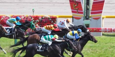 【東京9R/むらさき賞】エアウィンザーが大混戦を制して人気に答える
