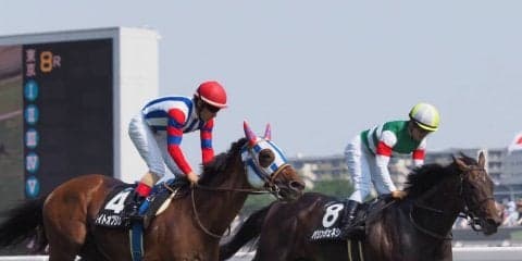 【東京8R/青嵐賞】ムイトオブリガード/パリンジェネシスが同着！2分22秒台の決着