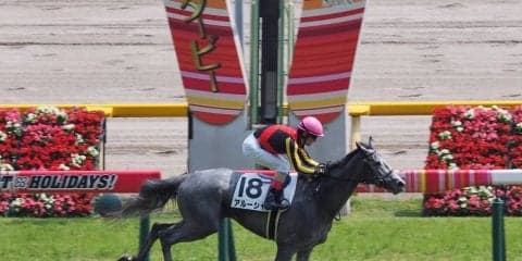 【東京6R/3歳500万下】アルーシャが早め早めの3角先頭！高速馬場を味方に一気に押し切る