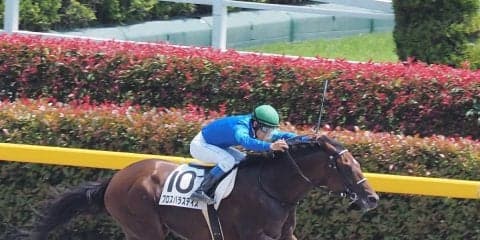 【東京5R/3歳500万下】プロスパラスデイズが新馬以来の2勝目