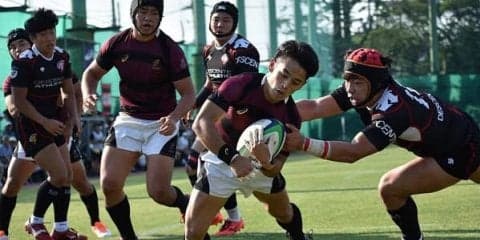  早大が9トライで圧勝　2018高麗大定期戦 